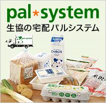 �p���V�X�e�� �\������